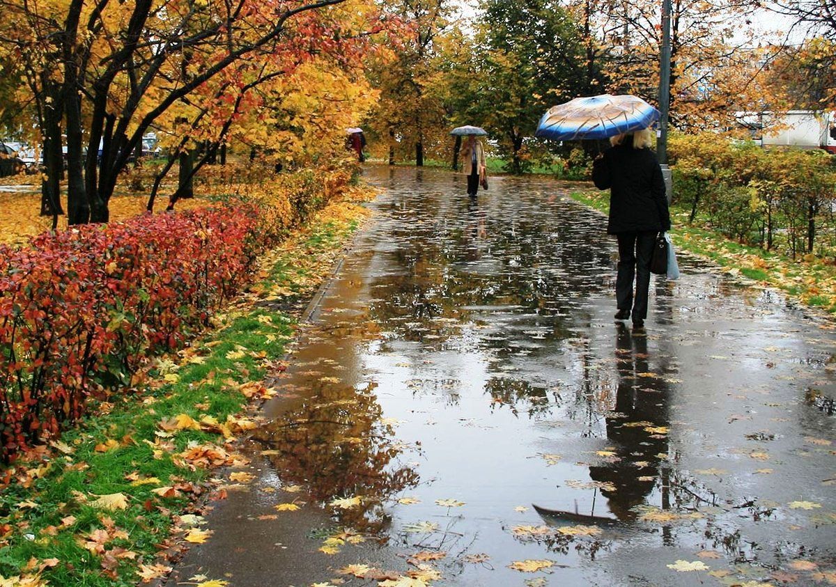 Коли очікують сильний дощ: погода в Закарпатті найближчими днями