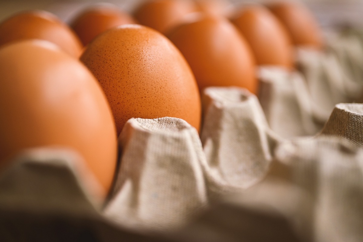 Ціни на курячі яйця тепер стабілізуються: Мінагрополітики уклало Меморандум