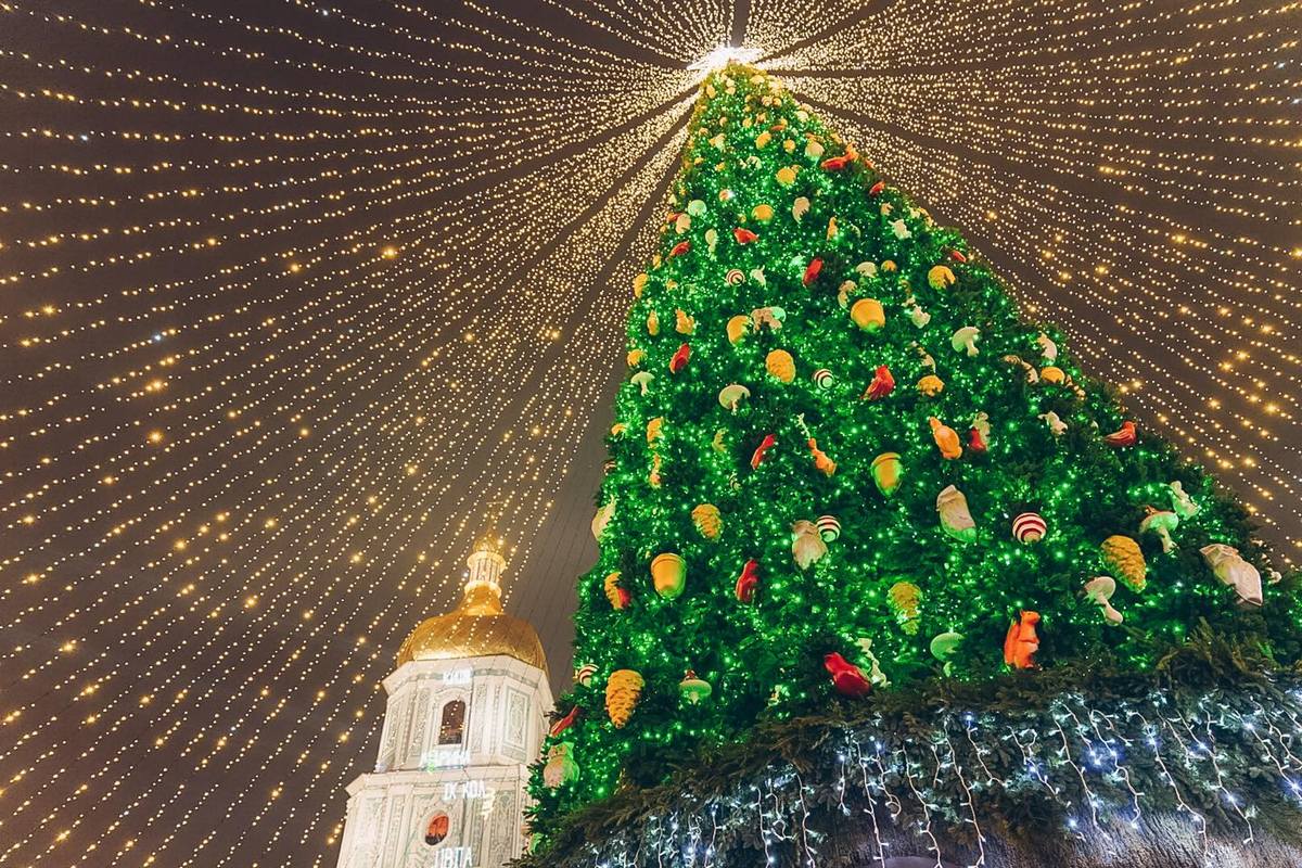 Новий рік 2023: українці виступили проти встановлення новорічної ялинки в Києві