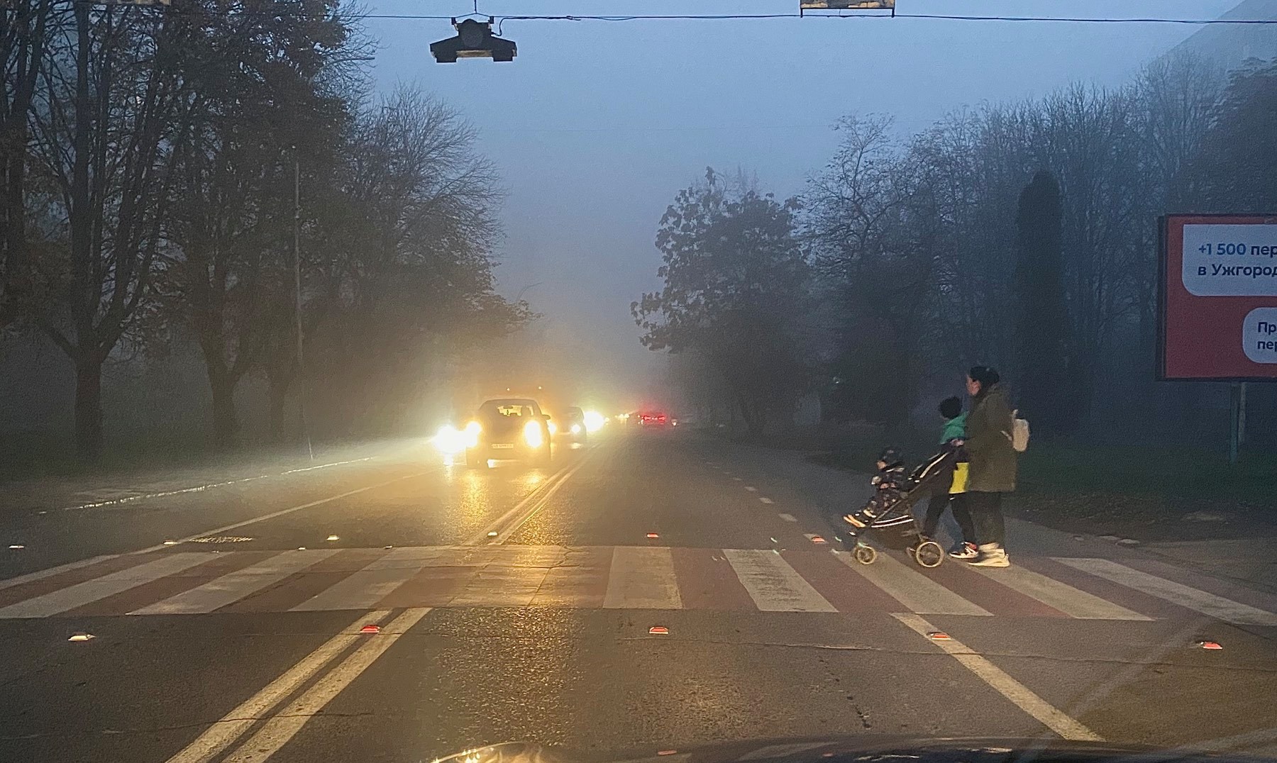 В Ужгороді на деяких пішохідних переходах встановили світловідбивальні елементи