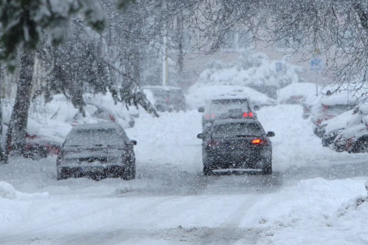 Мокрий сніг та сніг: на Закарпатті оголосили штормове попередження