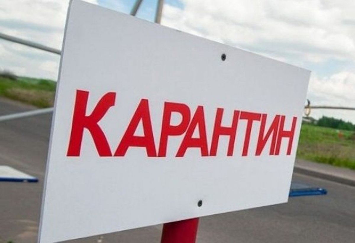 У закарпатському селі ввели двомісячний карантин: відома причина У закарпатському селі ввели двомісячний карантин: відома причина