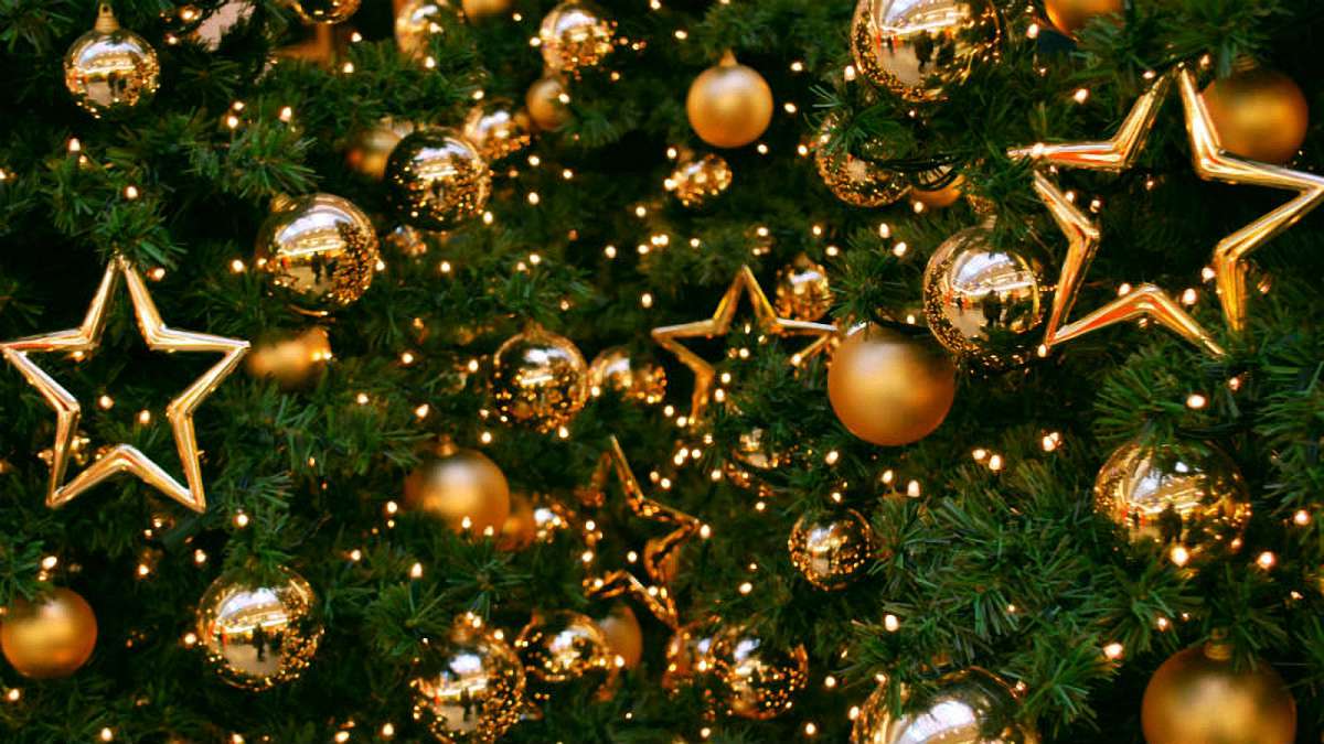 У центрі Мукачева завтра засяє новорічна ялинка
