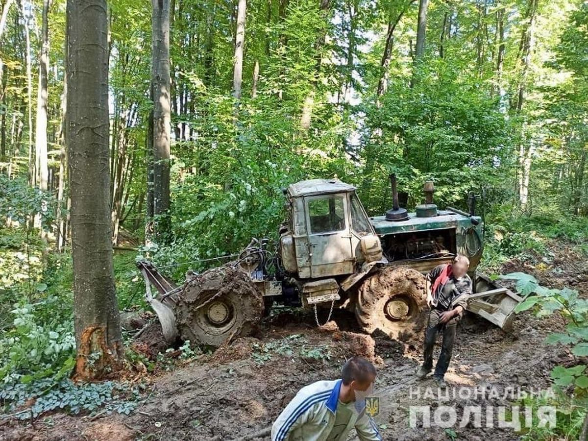 Поліція викрила закарпатського підприємця. Відомо, що він накоїв Поліція викрила закарпатського підприємця. Відомо, що він накоїв