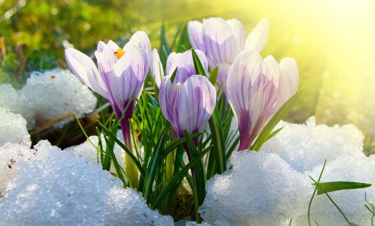 Погода на березень 2023 року: коли розпочнеться справжня весна