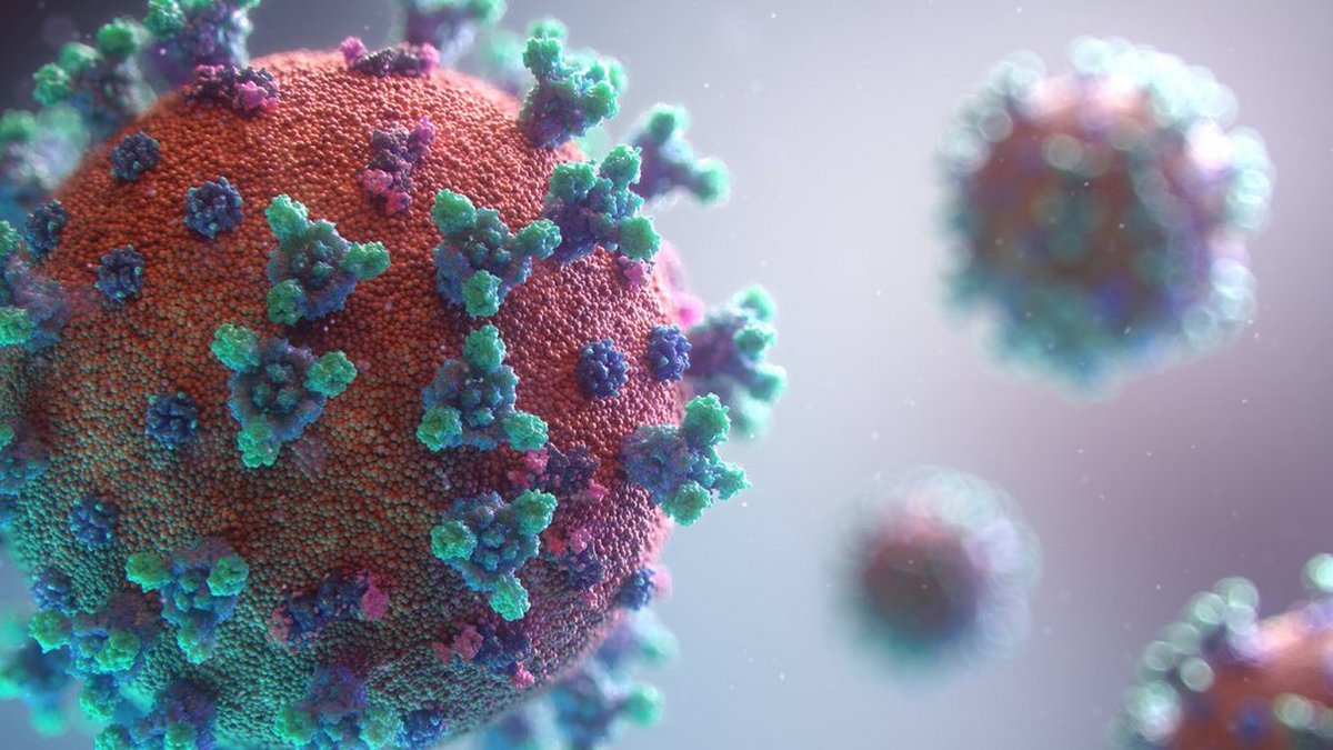 Новий штам коронавірусу "Кракен" виявлено на Закарпатті