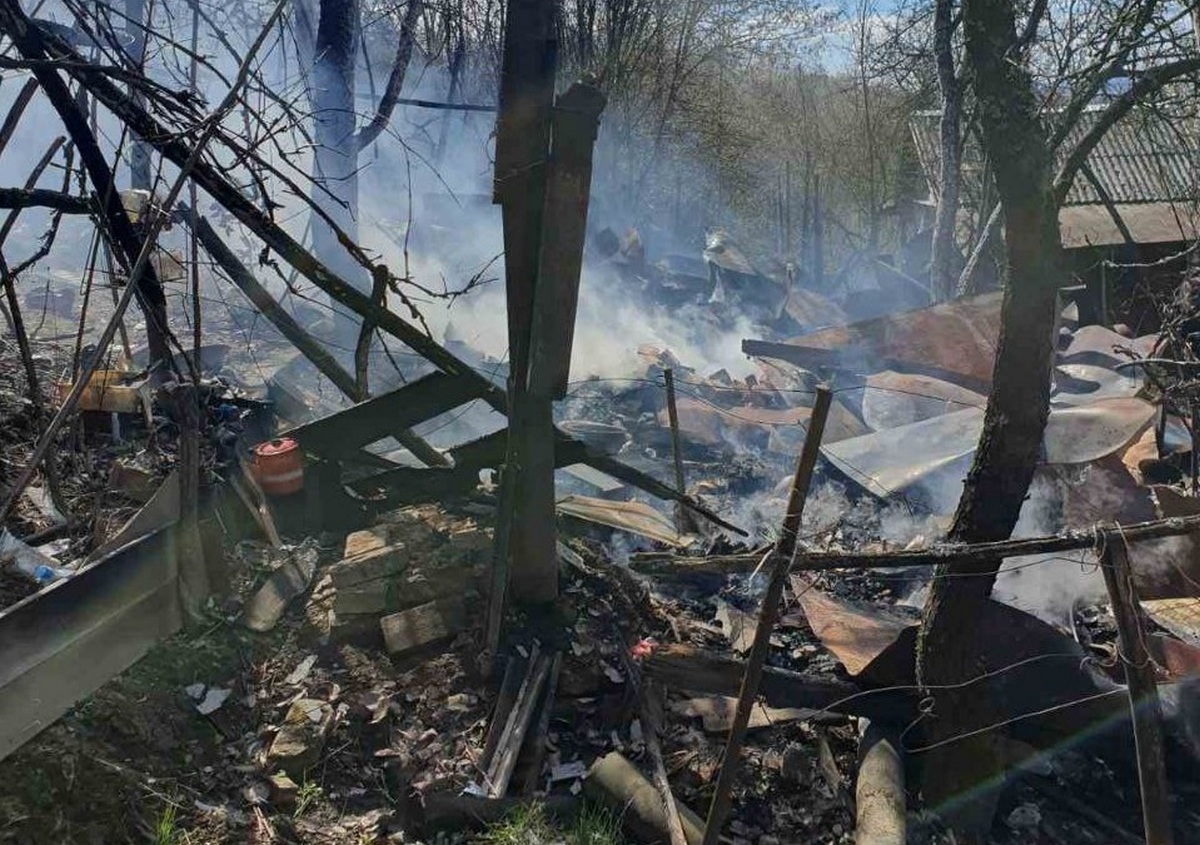 Рятувальники розповіли про випадок у Нижньому Солотвині Рятувальники розповіли про випадок у Нижньому Солотвині