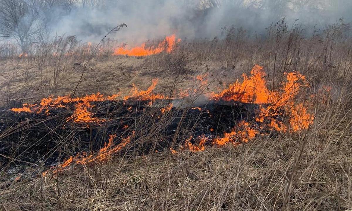 Рятувальники закликають закарпатців не спалювати сухостій Рятувальники закликають закарпатців не спалювати сухостій