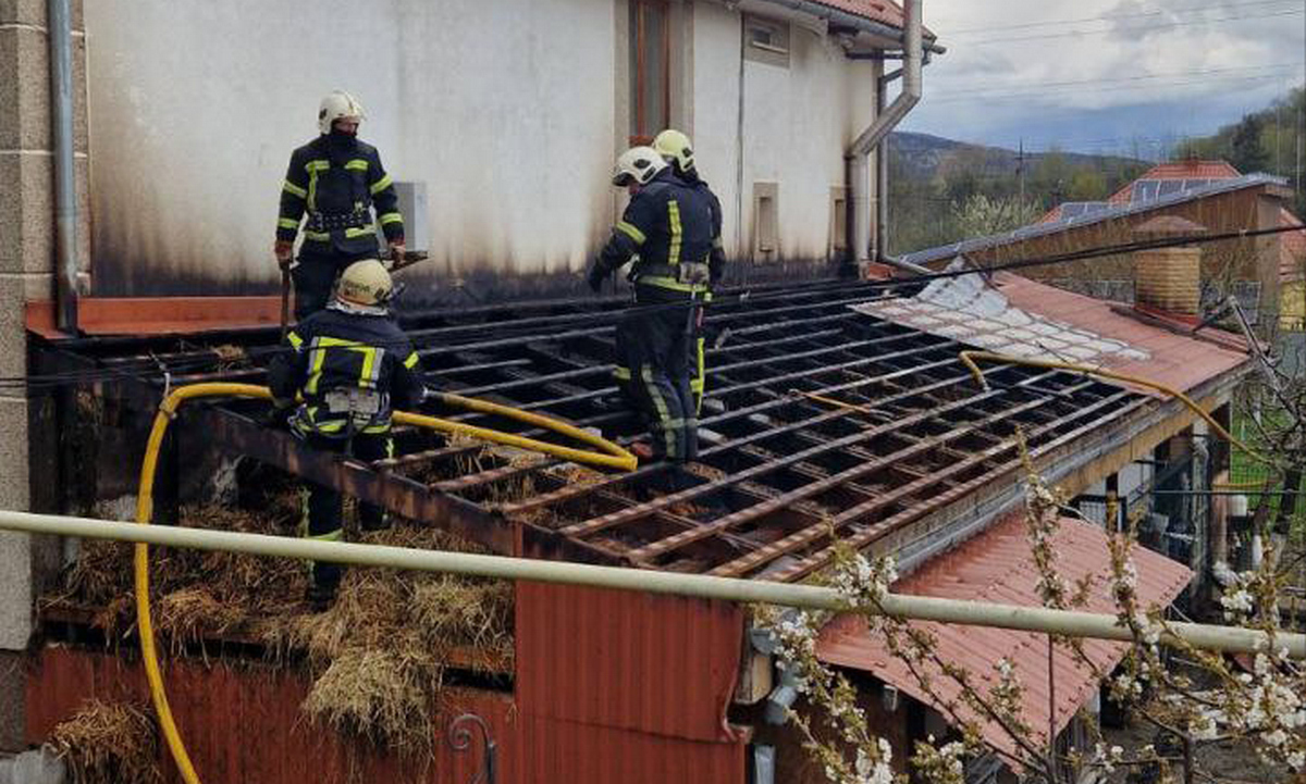 Господар розтопив піч, щоб спекти паски, але виникла пожежа: рятувальники розповіли про випадок на Мукачівщині