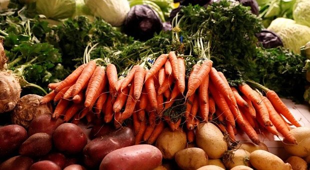 Чи подешевшають в Україні популярні овочі — прогноз експерта