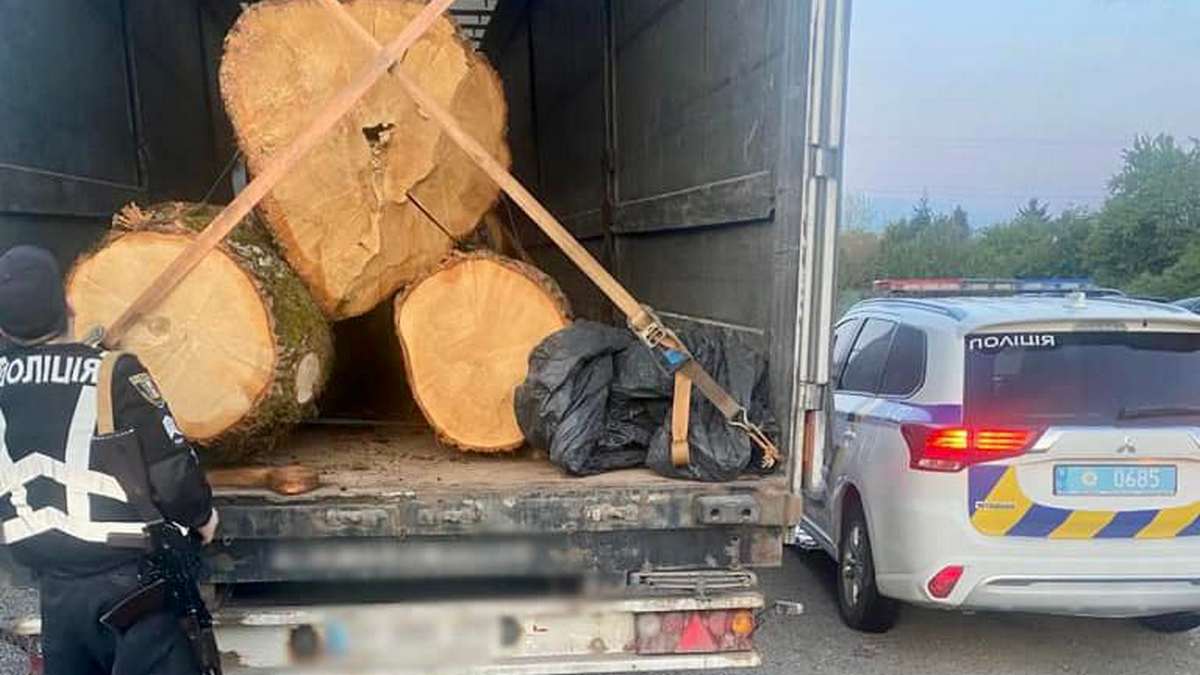 Виявлено вантажівку, в якій перевозили понад пів сотні колод дуба