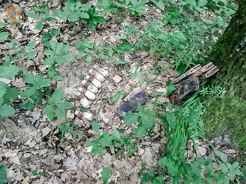 У лісі на Мукачівщині виявили гранати та набої: фото з місця знахідки