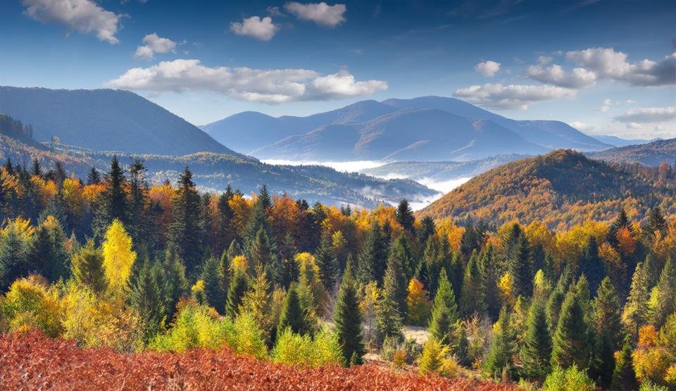 Осінь у Карпатах