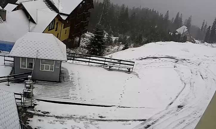 Гірську частину Закарпаття засипає снігом: фото з камер