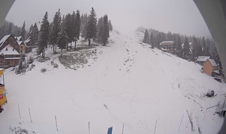 Гірську частину Закарпаття засипає снігом: фото з камер
