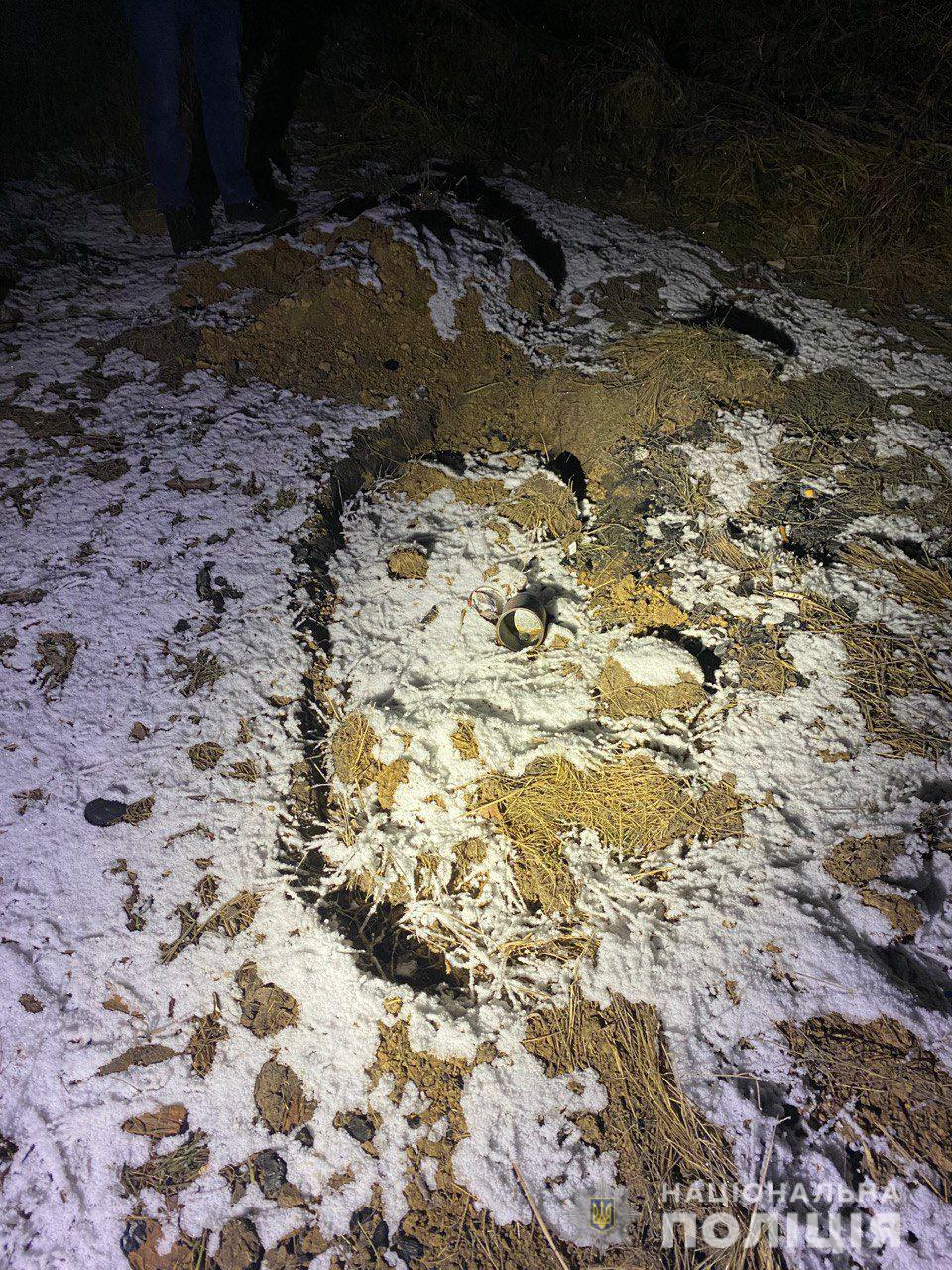Закарпатку жорстоко вбили