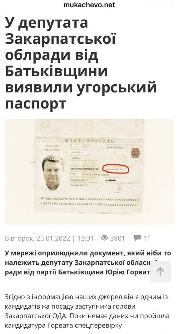 Юрія Горвата звинуватили в тому, що він має угорський паспорт