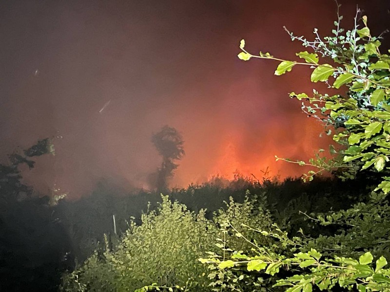 Пожежа в Дубриницькому лісництві