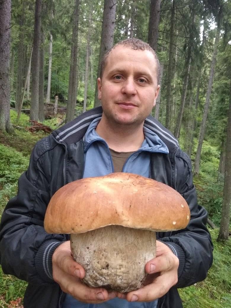 На Закарпатті знайшли гриб-велетень