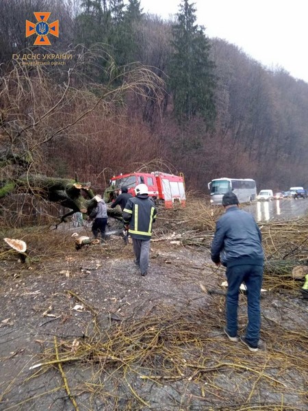 Рятувальники показали наслідки негоди в Закарпатській області