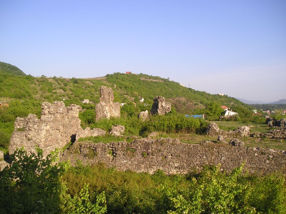 Руїни замку у Виноградові