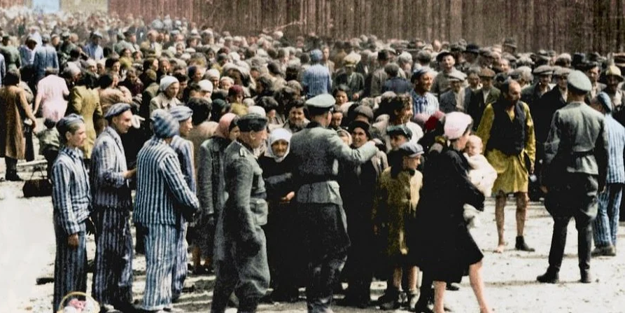 Опубліковано рідкісні знімки із нацистського «табору смерті» – Освенцима. Їх зберегла його колишня ув’язнена із Білок